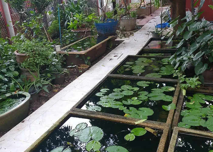 Casa Scarlet Guest house *