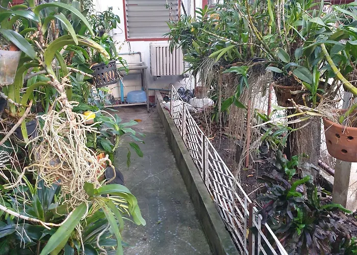 Casa Scarlet Guest house Bangkok