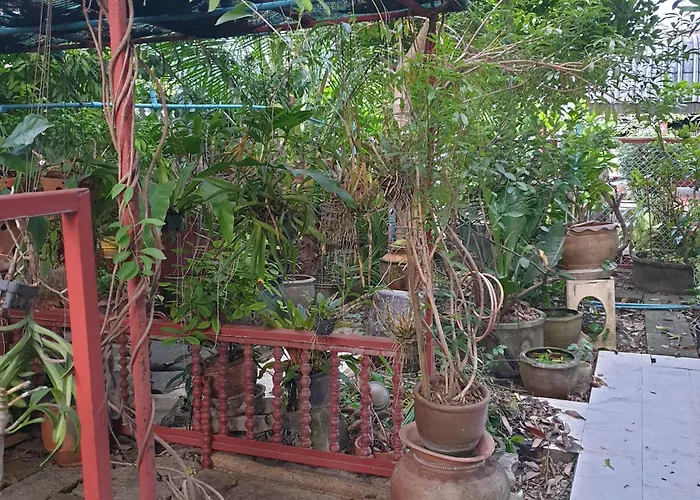 Guest house Casa Scarlet *